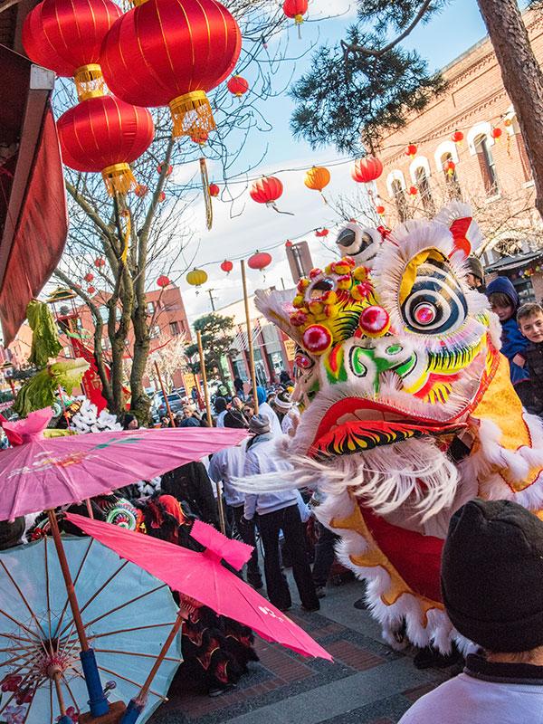 A dragon dance celebration during a festival in Victoria, BC's Chinatown