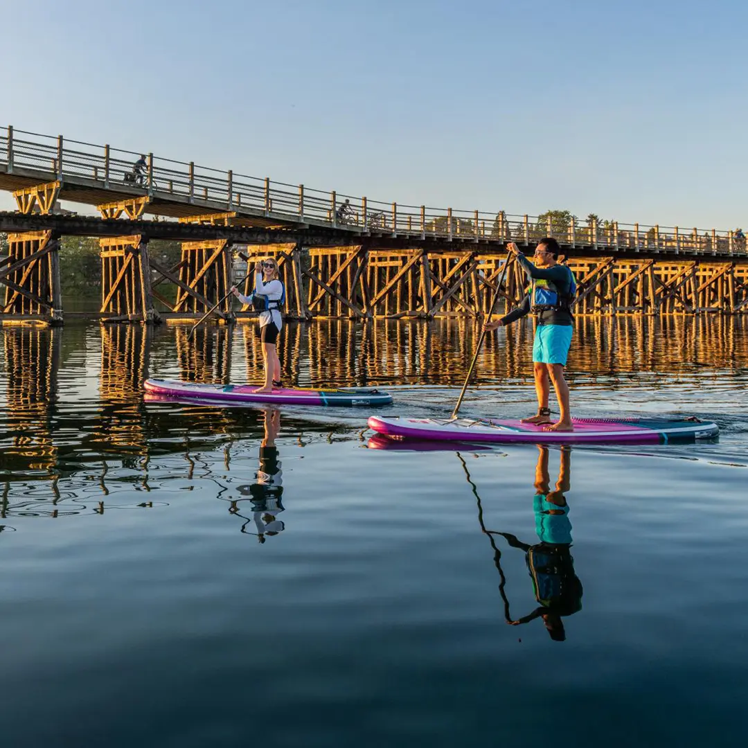 Two people paddleboard beneath the historic Selkirk Trestle spanning the Gorge Waterway in Victoria during a golden summer sunset.